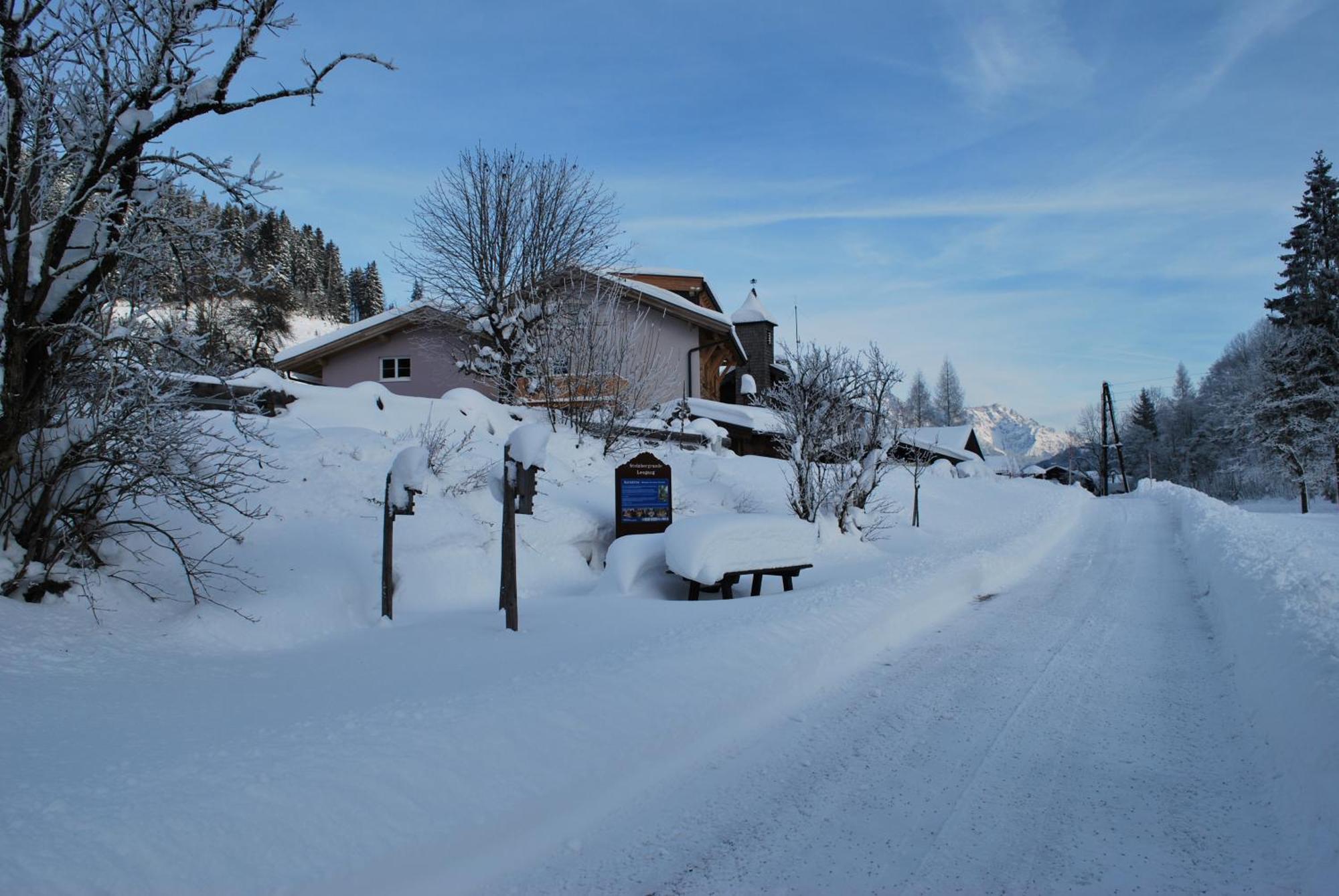 Appartement Haus Pichler Leogang Exterior foto